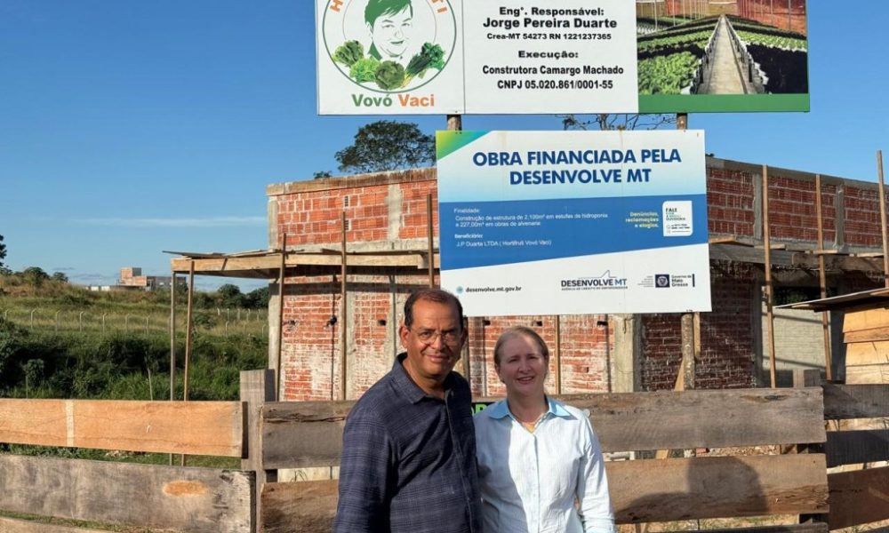 Crédito da Desenvolve MT viabiliza inovação tecnológica com implantação de hidroponia em Juara