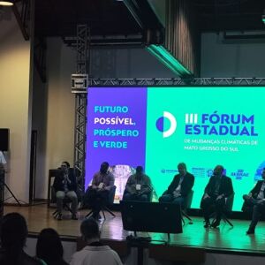 MS cria ferramenta para vender crédito de carbono
