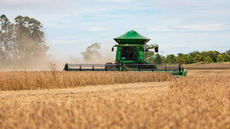 Mato Grosso consolida protagonismo na produção mundial de grãos e fibras