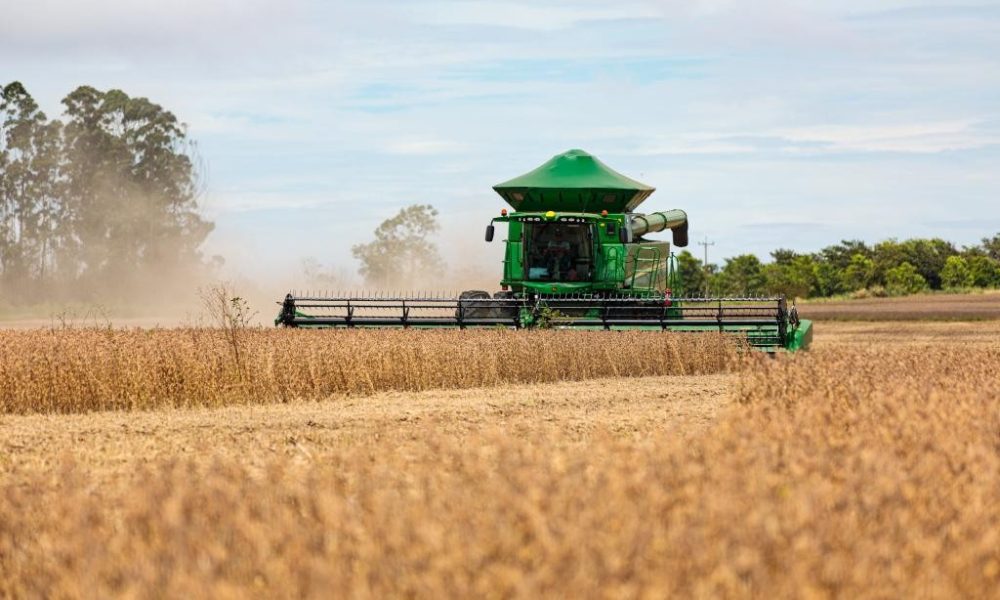 Mato Grosso consolida protagonismo na produção mundial de grãos e fibras