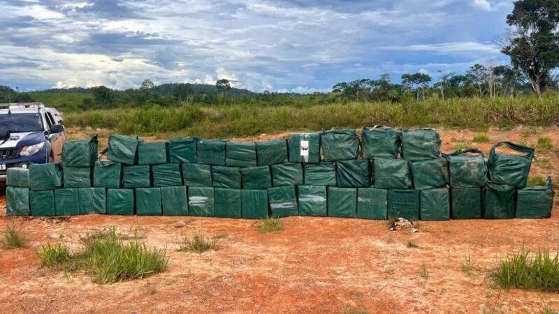 Polícia Militar aumenta em 166% as apreensões de drogas no primeiro semestre de 2025