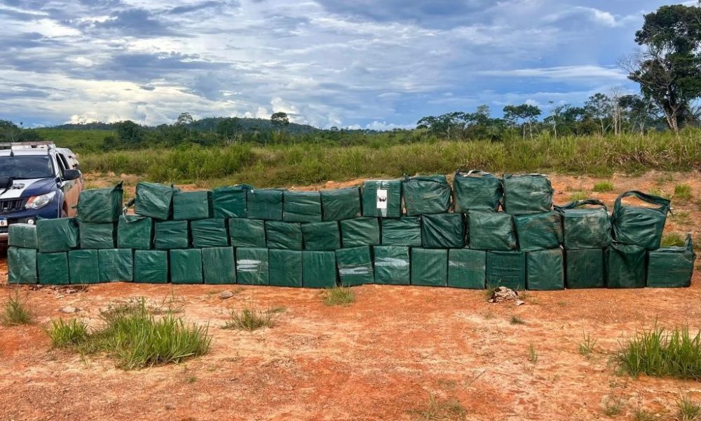 Polícia Militar aumenta em 166% as apreensões de drogas no primeiro semestre de 2025