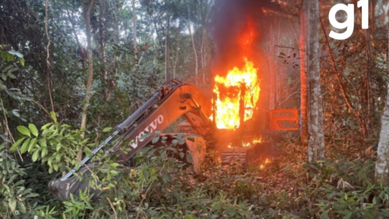 Nova operação combate extração de ouro em garimpo ilegal em terra indígena de MT