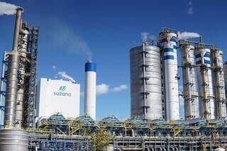 Suzano consolida projeto e reina entre os gigantes do “Vale da Celulose”