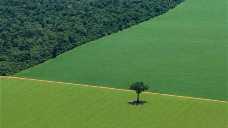 Justiça suspende decisão do Cade que apontou formação de cartel e abuso de poder econômico
