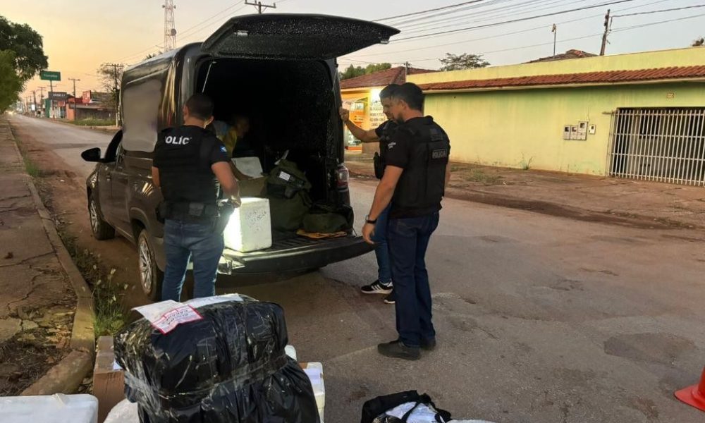 Polícia Civil apreende 11 tabletes de entorpecentes transportados em um veículo de encomendas express