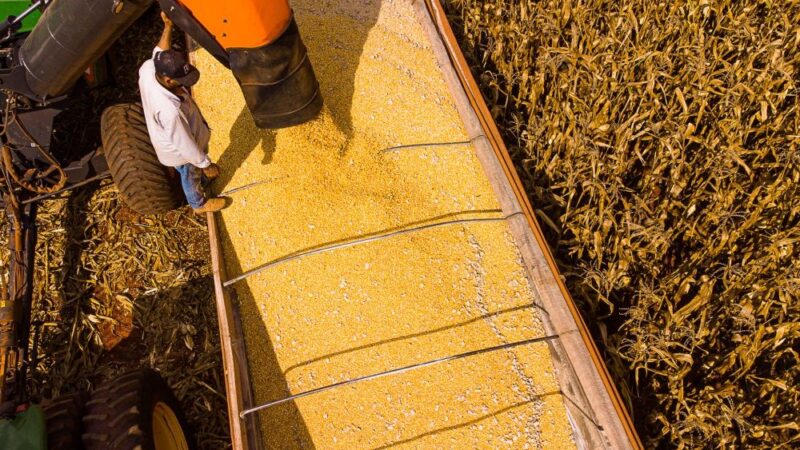Mato Grosso lidera saldo da balança comercial brasileira no primeiro semestre de 2025