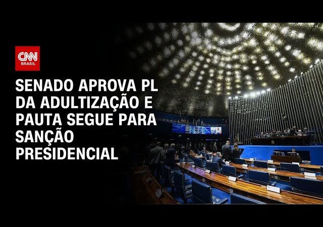 PL da Adultização segue para sanção presidencial