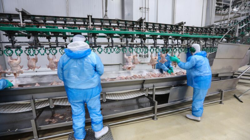 Falta de mão de obra qualificada é entrave para crescimento das exportações de carnes