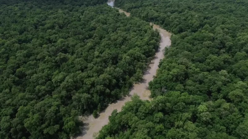 Dia da Amazônia mobiliza sociedade civil para a COP30 em Belém