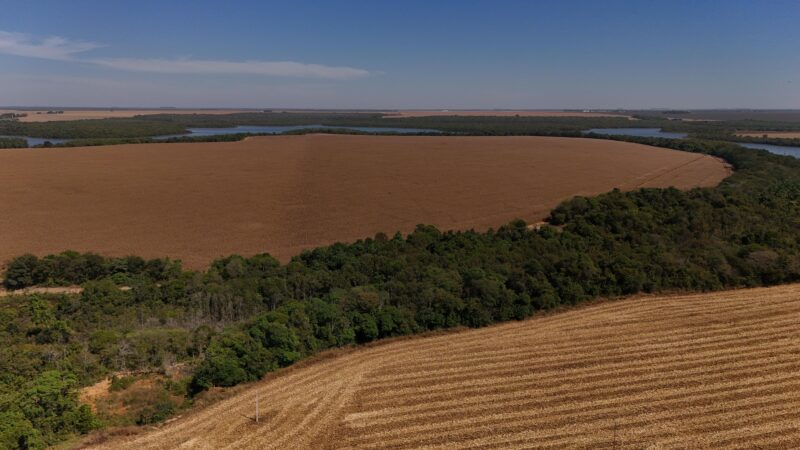 Governo interferir na Moratória da Soja é uso indevido da máquina pública, acusa a FPA