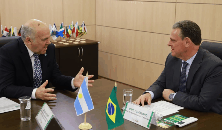 Brasil e Argentina discutem protocolo comum para comércio de carne de frango