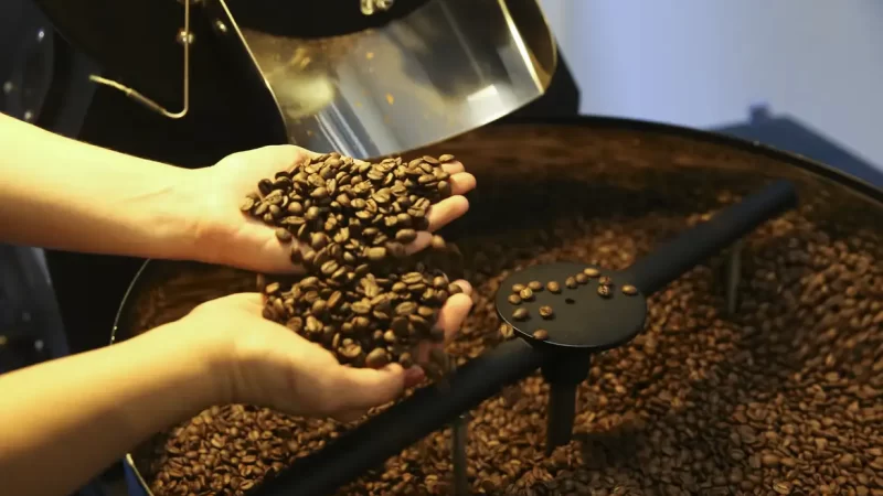 Brasil deve colher 55,2 milhões de sacas de café em 2025, diz Conab