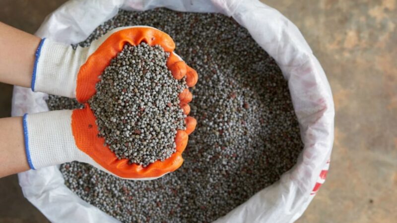 Fertilizantes: o futuro do alimento depende da riqueza que há sob os nossos pés