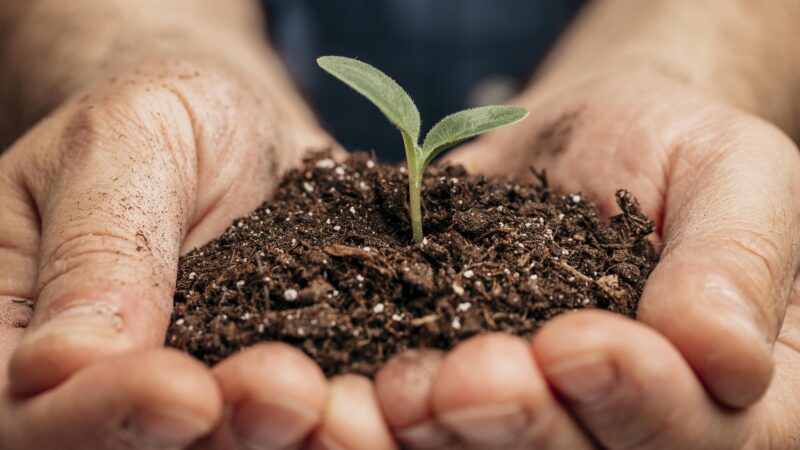 Brasil e Reino Unido firmam memorando sustentável com acordo voltado a fertilizantes