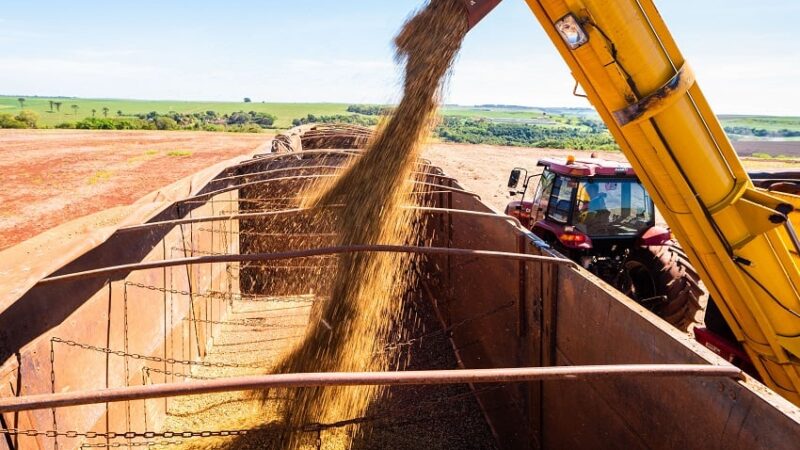 China acelera compra de soja após Argentina retomar cobrança de taxa de exportação