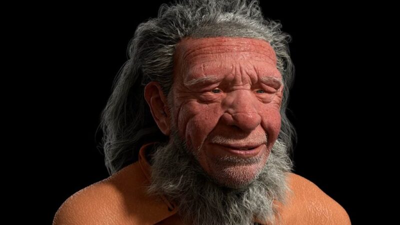 Neandertais poderiam ter comunicação elaborada, revelam estudos