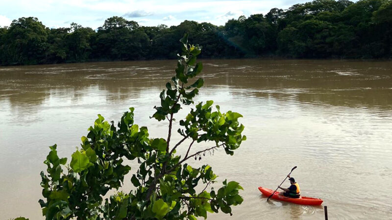 Ministério inclui Sinop, Alta Floresta e mais 8 de MT como melhores destinos para pesca esportiva