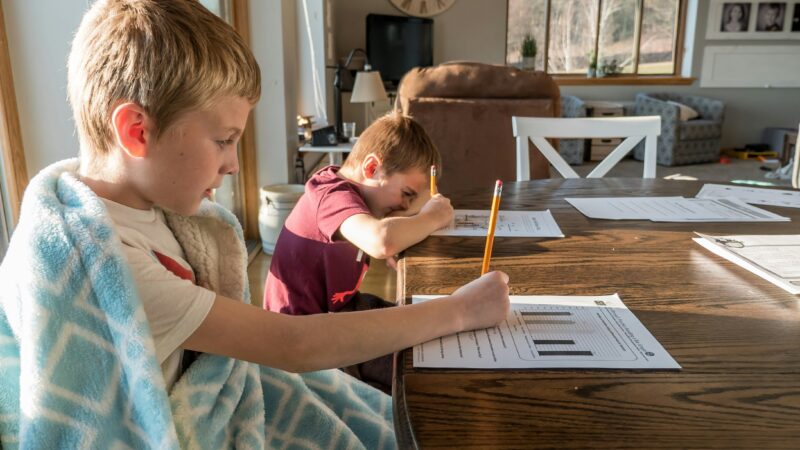 Unesco reconhece homeschooling como um direito das famílias