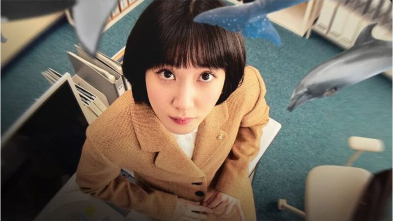 8 doramas de romance com advogados para assistir online no streaming