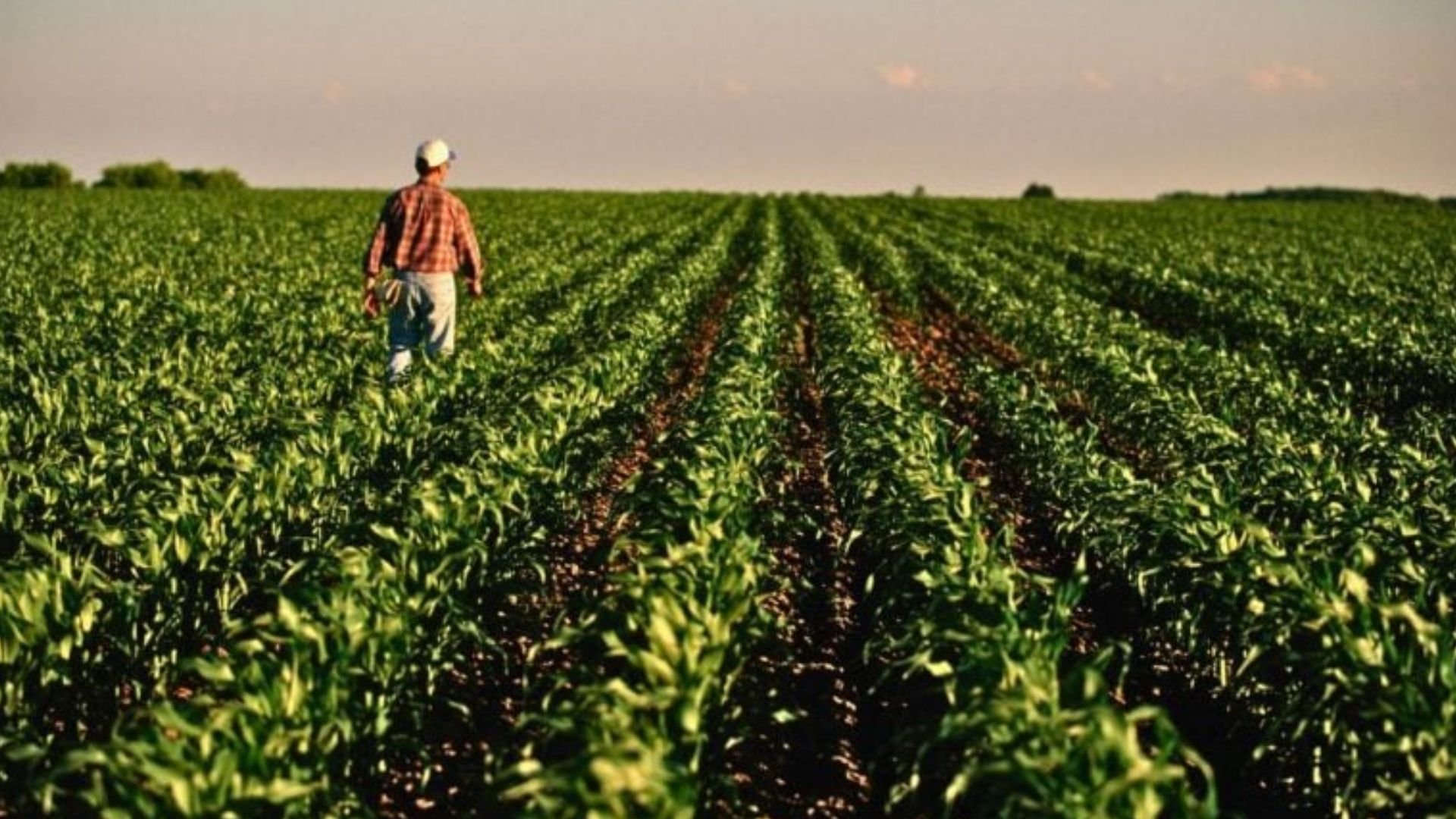 Qual é o maior desafio na gestão da sua propriedade rural?