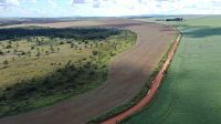 Cerrado perdeu área de vegetação equivalente a uma Bahia e meia, diz estudo