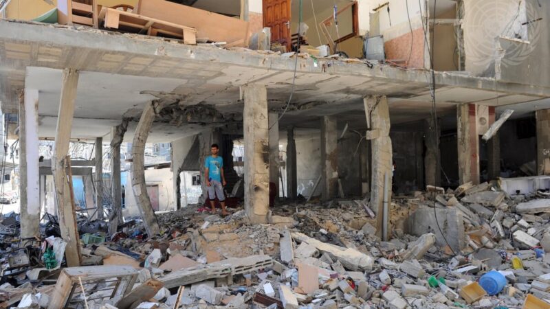 O colapso da agricultura em Gaza no epicentro da crise humanitária