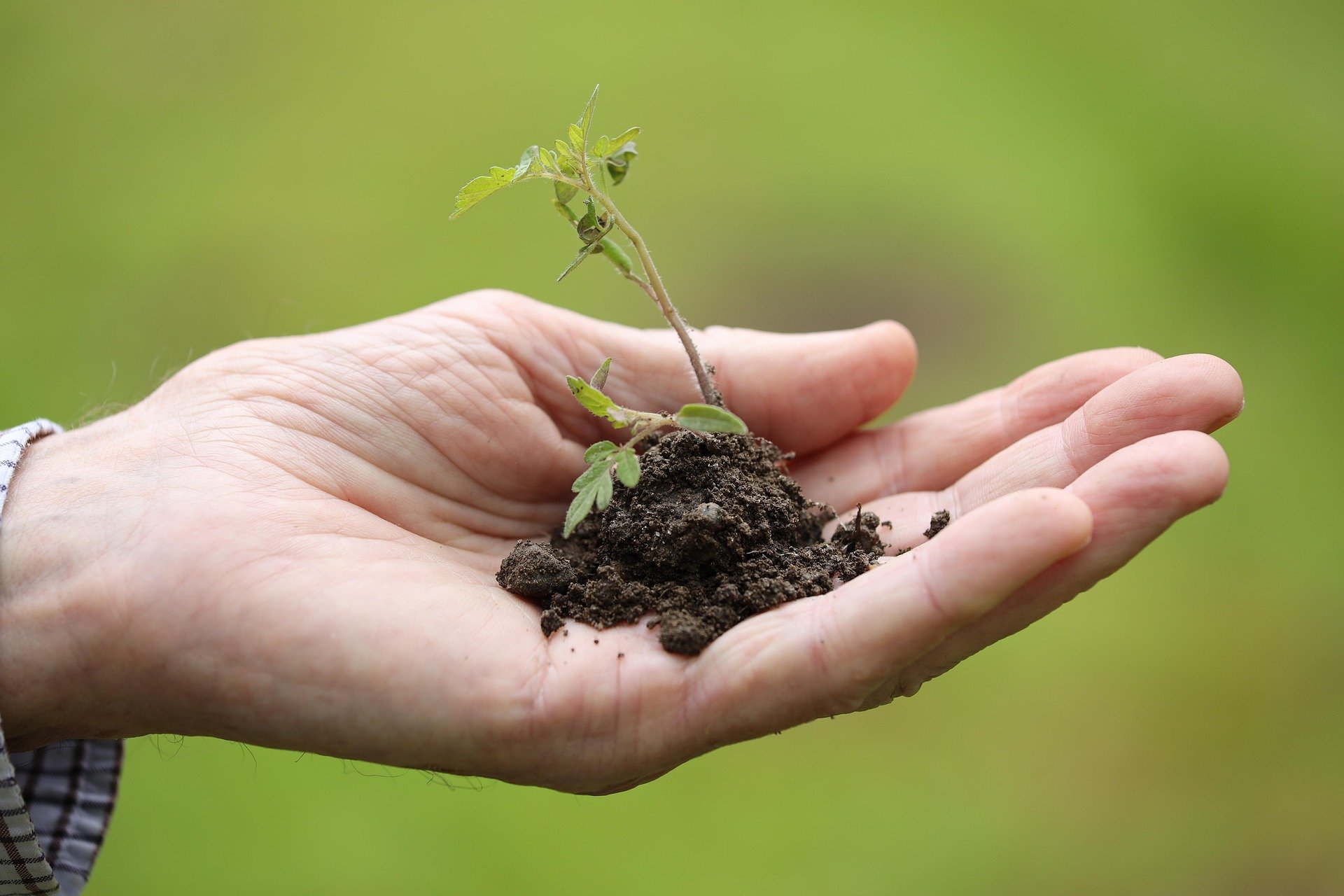 Entidades defendem protagonismo do agro na mitigação climática e pedem revisão do Plano Clima