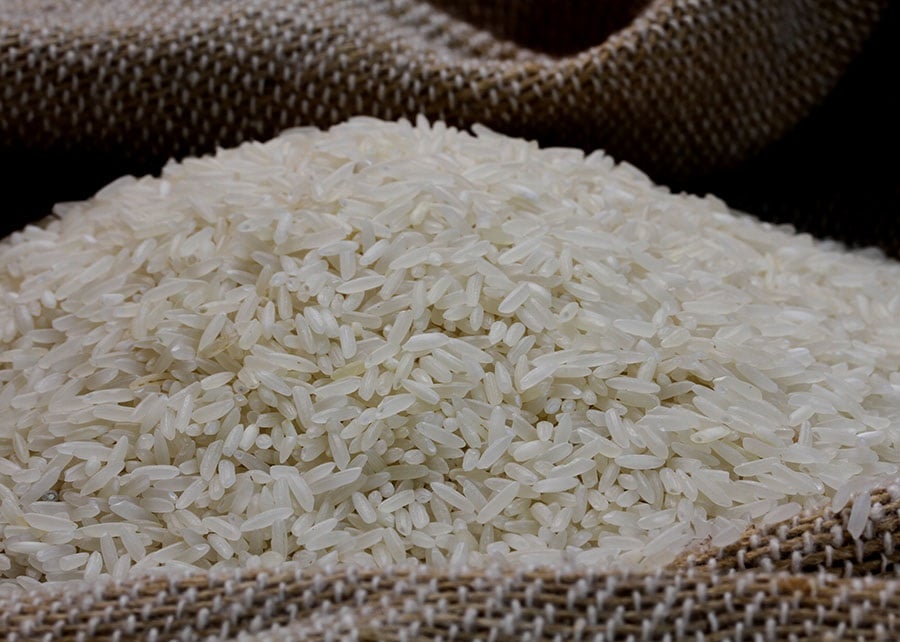 Preço do arroz atinge menor nível em 14 anos e preocupa produtores