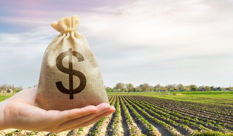 Contratações de crédito rural caem 18,5% até setembro