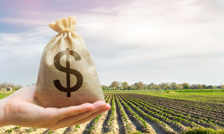 Contratações de crédito rural caem 18,5% até setembro