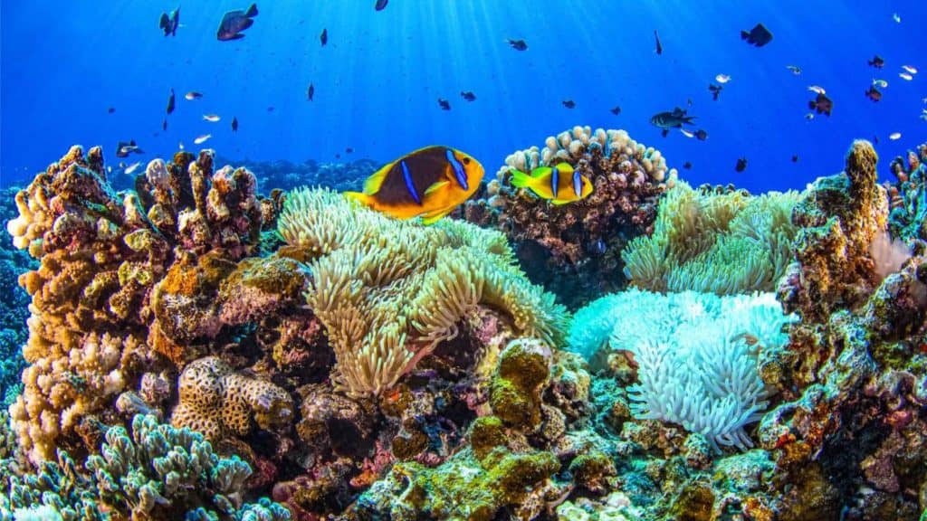 Mudanças climáticas: ultrapassamos o primeiro ponto sem retorno