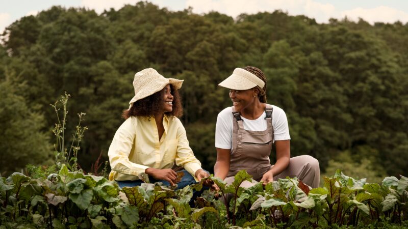 Dia Internacional das Mulheres Rurais: a importância da atuação feminina na agricultura