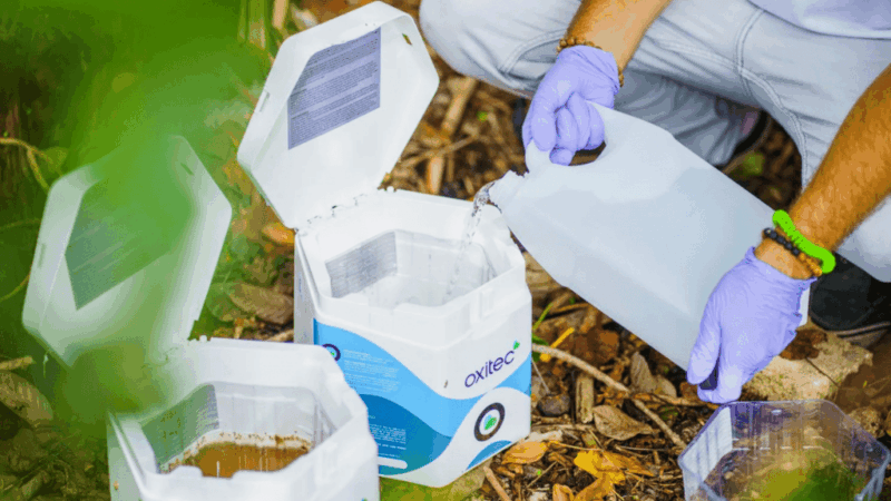 Brasil ganha segunda fábrica de mosquitos para combater dengue