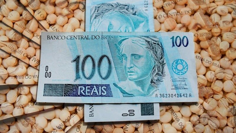 Soja tem dia de aumento nos preços; confira as cotações por região do Brasil