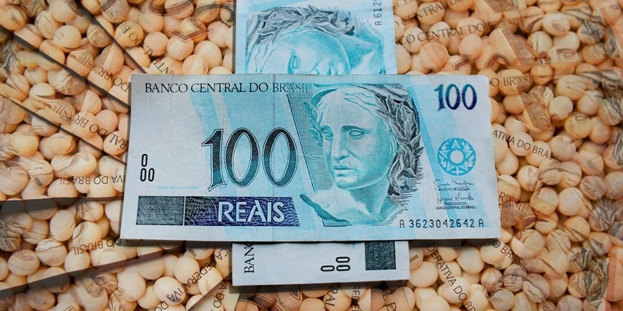 Soja tem dia de aumento nos preços; confira as cotações por região do Brasil