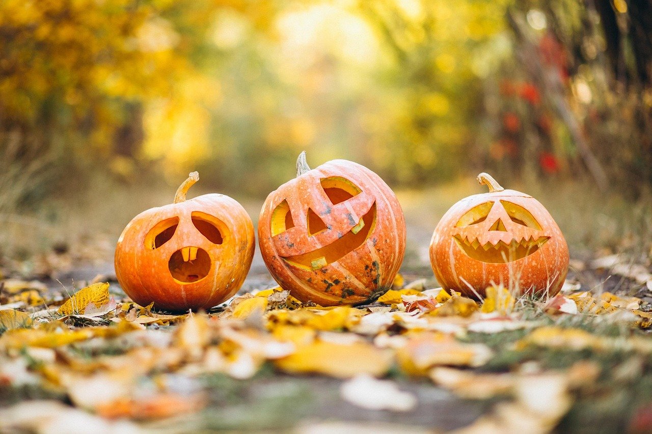 Halloween, festa da colheita que virou tradição mundial
