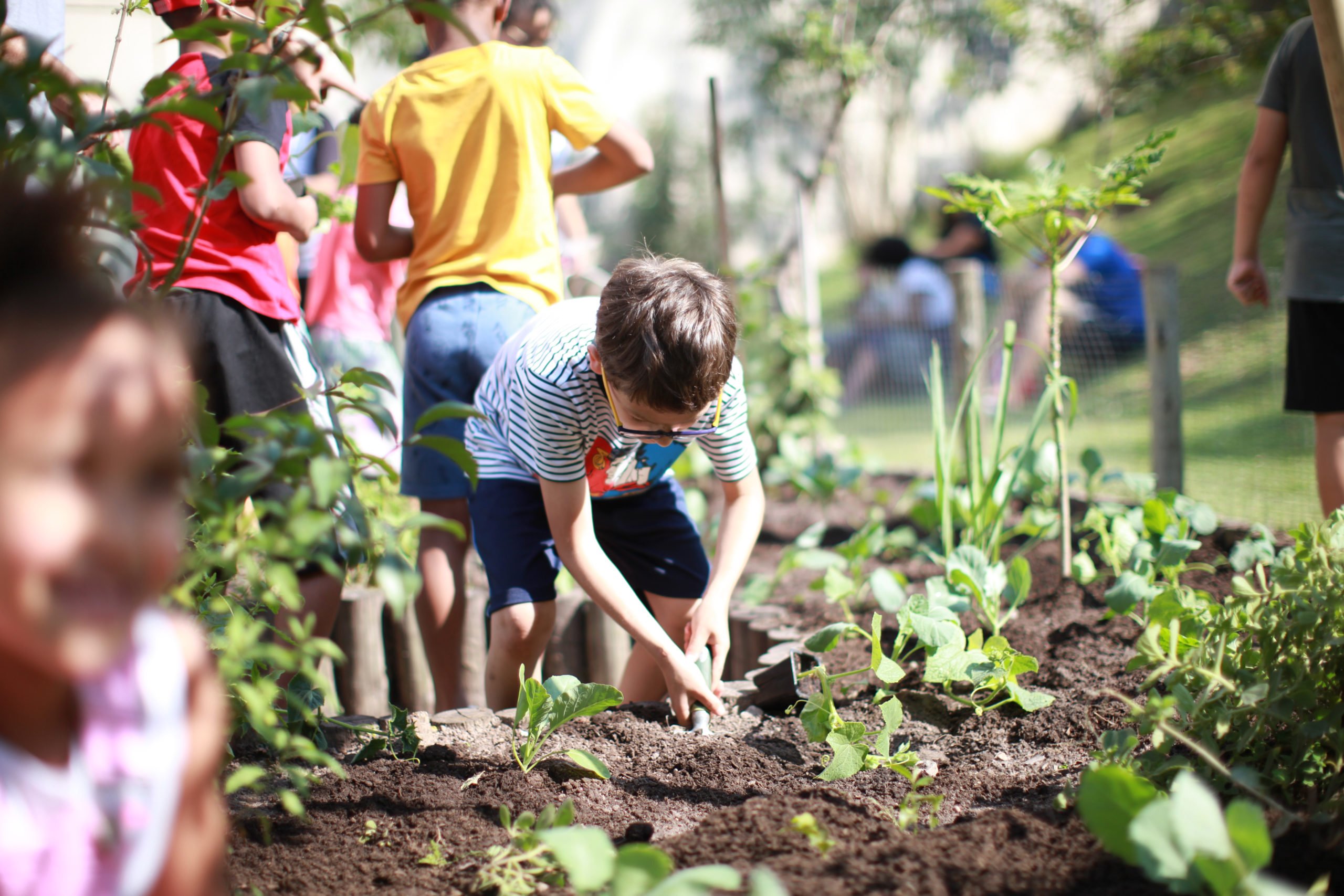 Prefeitura de SP abre inscrições para acelerar projetos de agricultura urbana