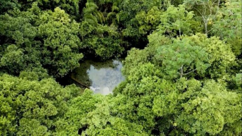 Com água e comida abundantes, Brasil pode liderar segurança alimentar global