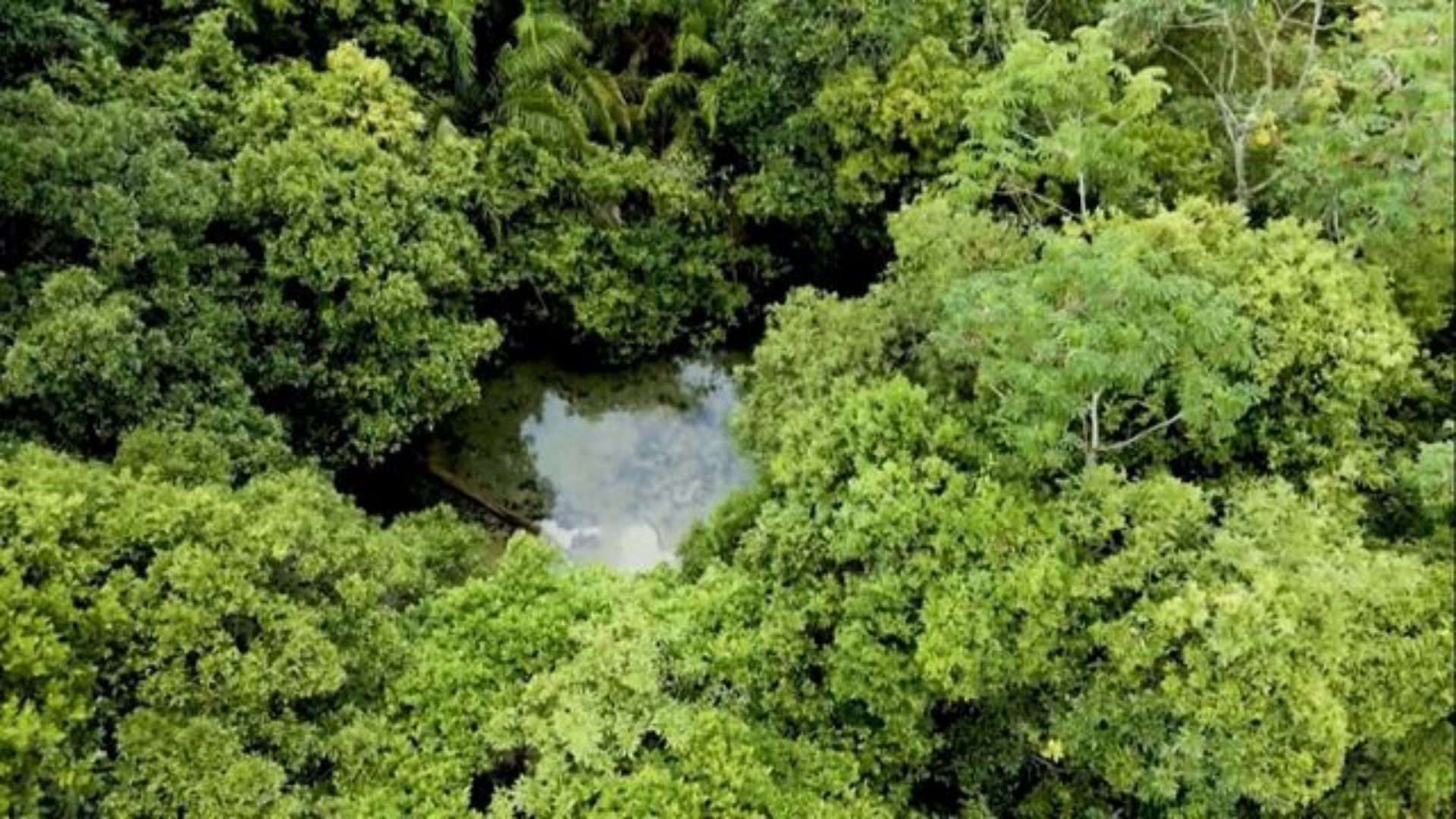 Com água e comida abundantes, Brasil pode liderar segurança alimentar global