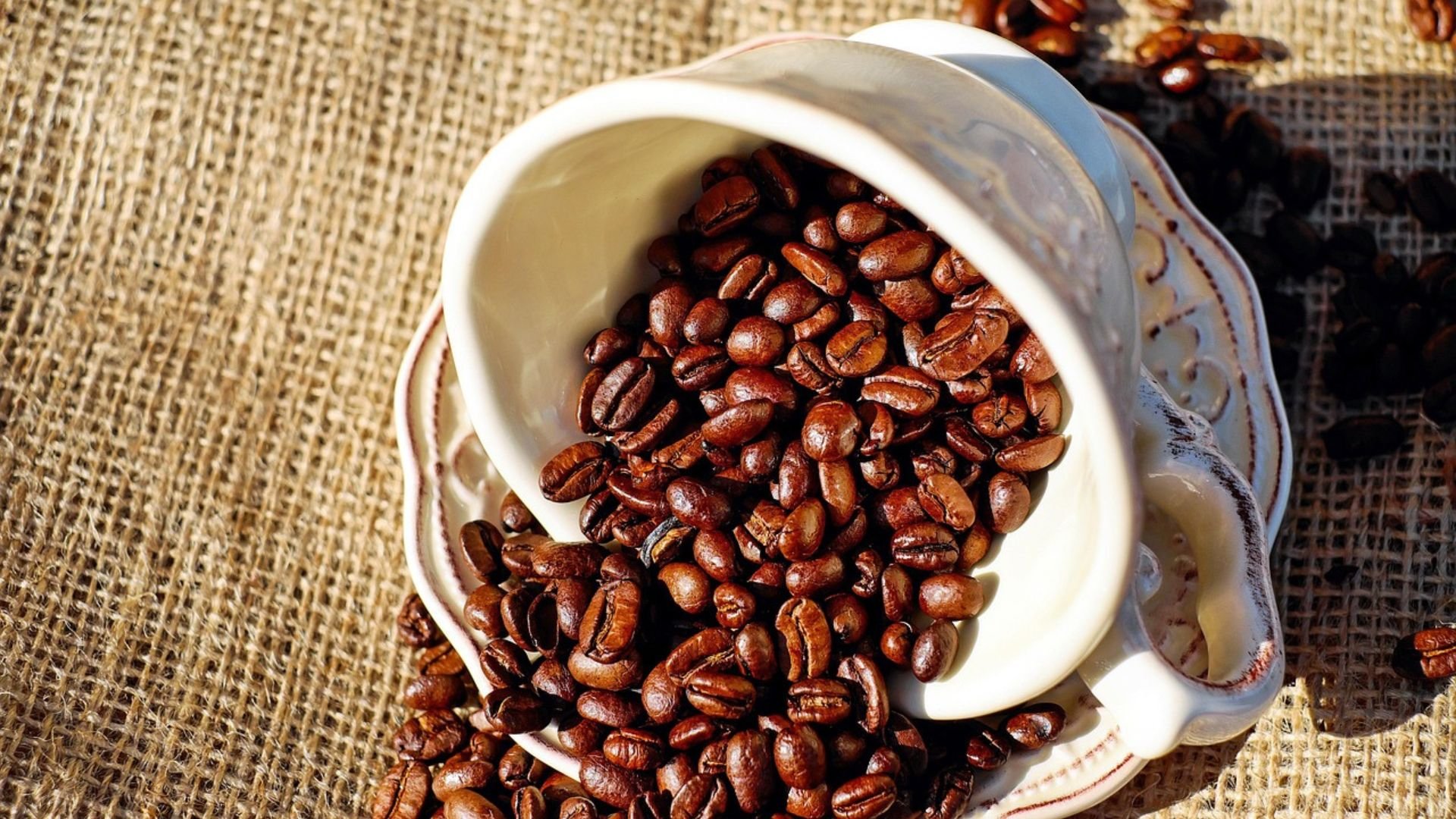 BSCA critica decisão dos EUA e cobra avanço rápido para salvar exportações de café