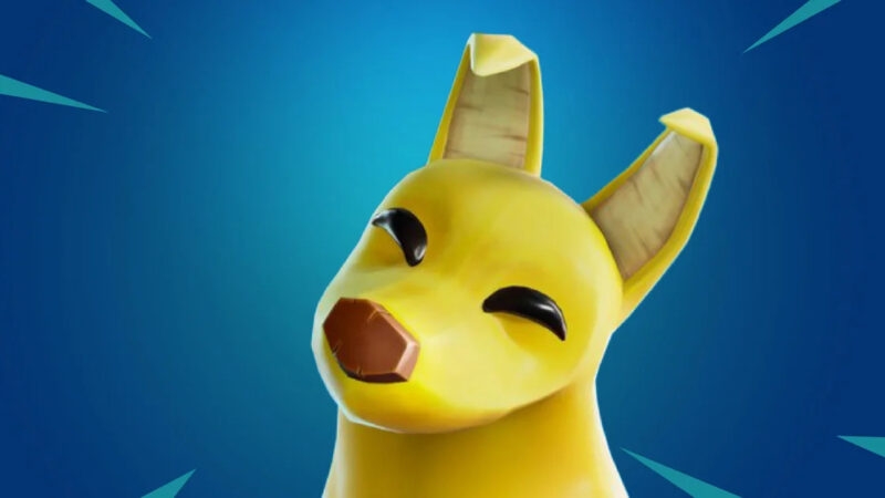 Jogadores de Fortnite criticam preços dos animais de estimação e pedem boicote