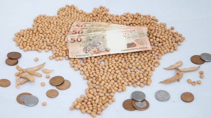 Confira como a alta do dólar impactou os preços da soja