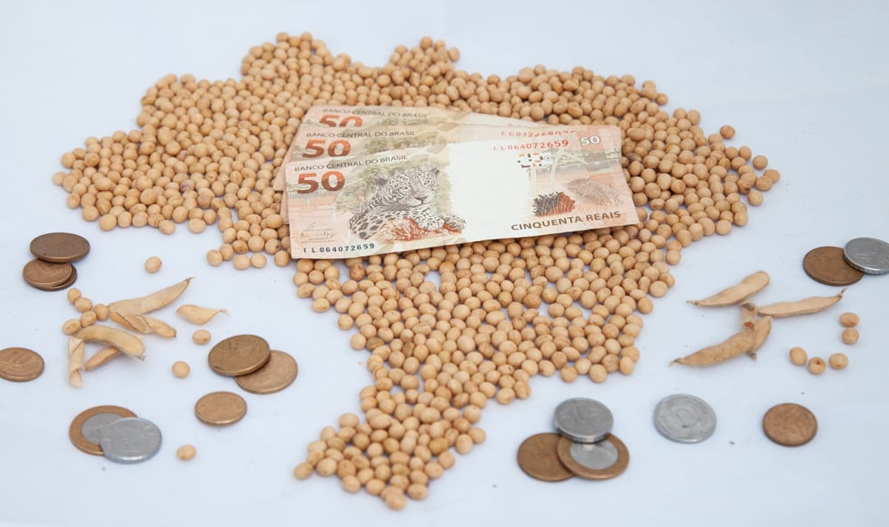 Confira como a alta do dólar impactou os preços da soja