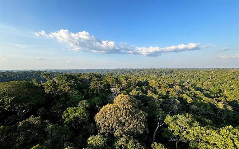 Especialista critica Plano Clima por responsabilizar o agro por emissões ilegais