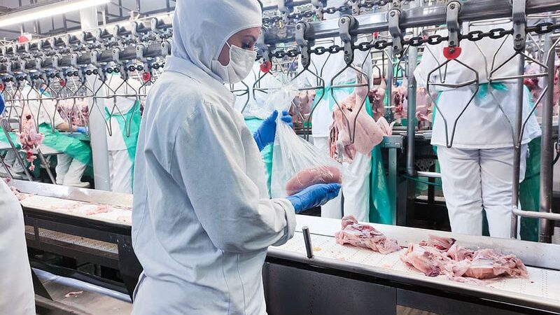 ABPA comemora decisão da China de voltar a comprar carne de frango do Brasil