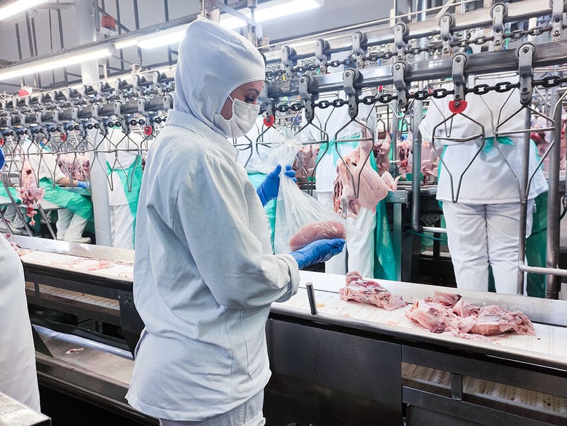 ABPA comemora decisão da China de voltar a comprar carne de frango do Brasil