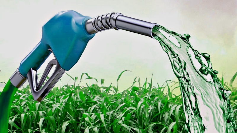 Unica cobra início imediato da transição com combustíveis sustentáveis na COP30