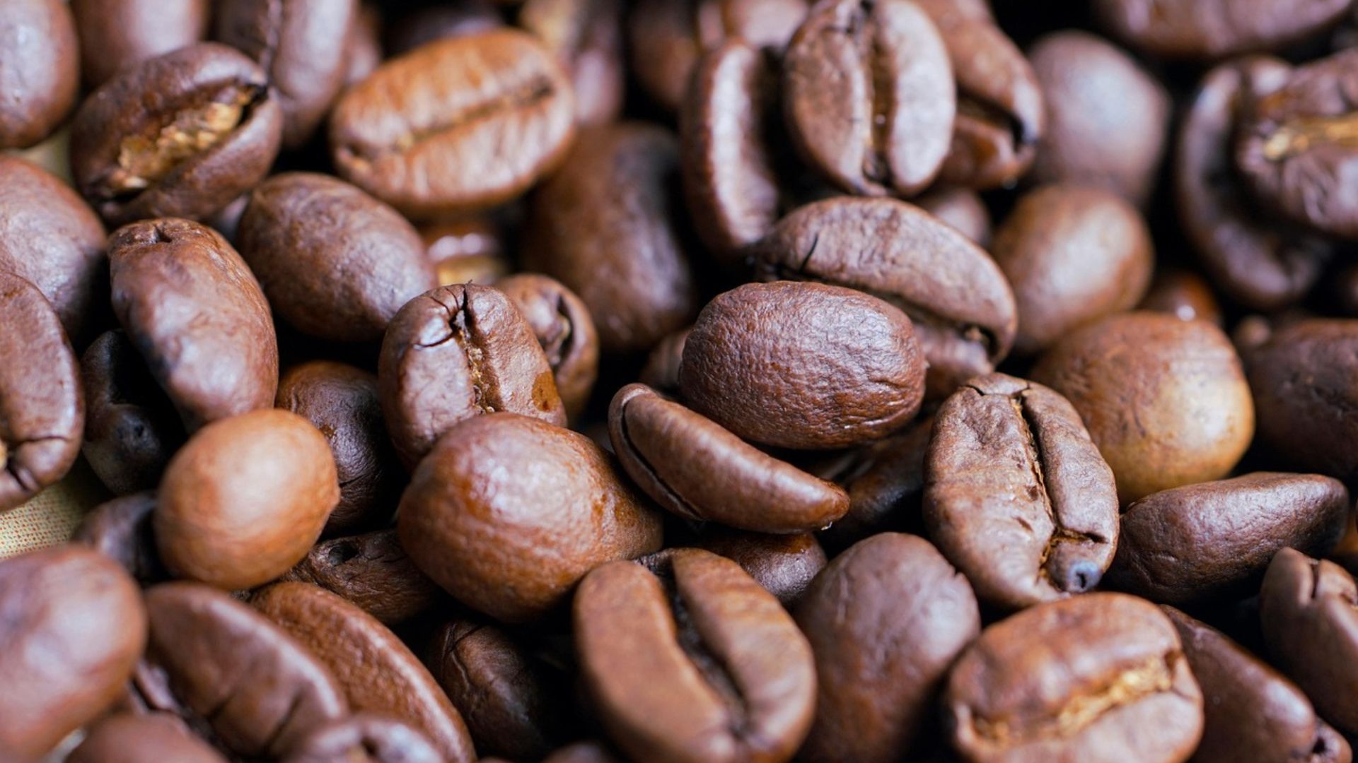 ‘Dia histórico’, diz presidente do Cecafé após EUA decretarem fim do tarifaço para o café