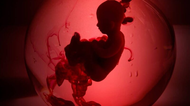 Médicos operam coração de feto dentro da barriga da mãe em hospital no RS